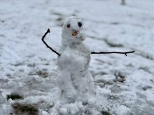 Ein Schneemann, der den Weg nach vorne weist.